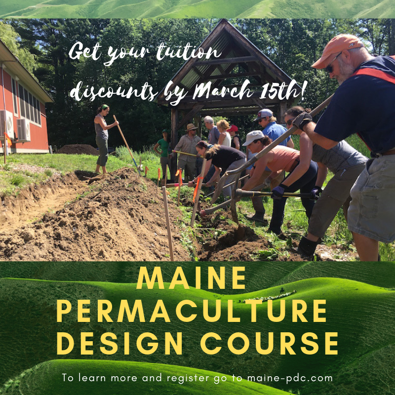 Summer PDC 2019 Midcoast Permaculture summer-pdc-2019-midcoast-permaculture